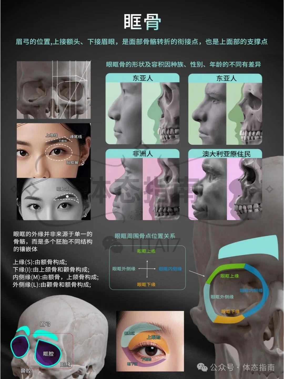 【骨相审美】面部骨点结构，解锁更多属于你的美丽可能性 - 知乎