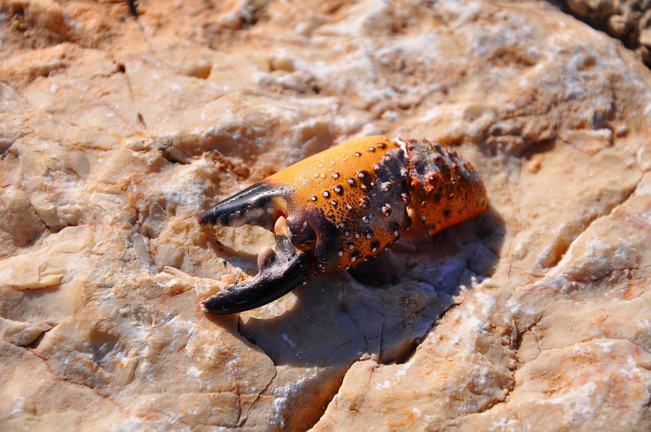 4. 幸海里新房房价