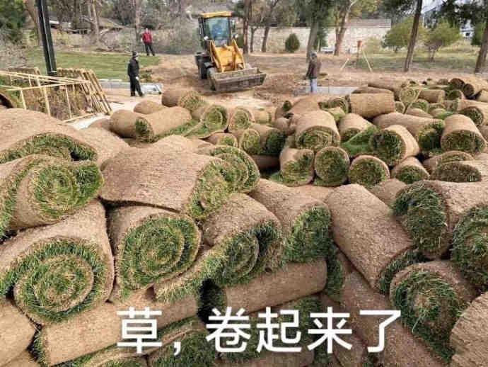 有没有最近很火的「内卷段子」文案呢? - 知乎