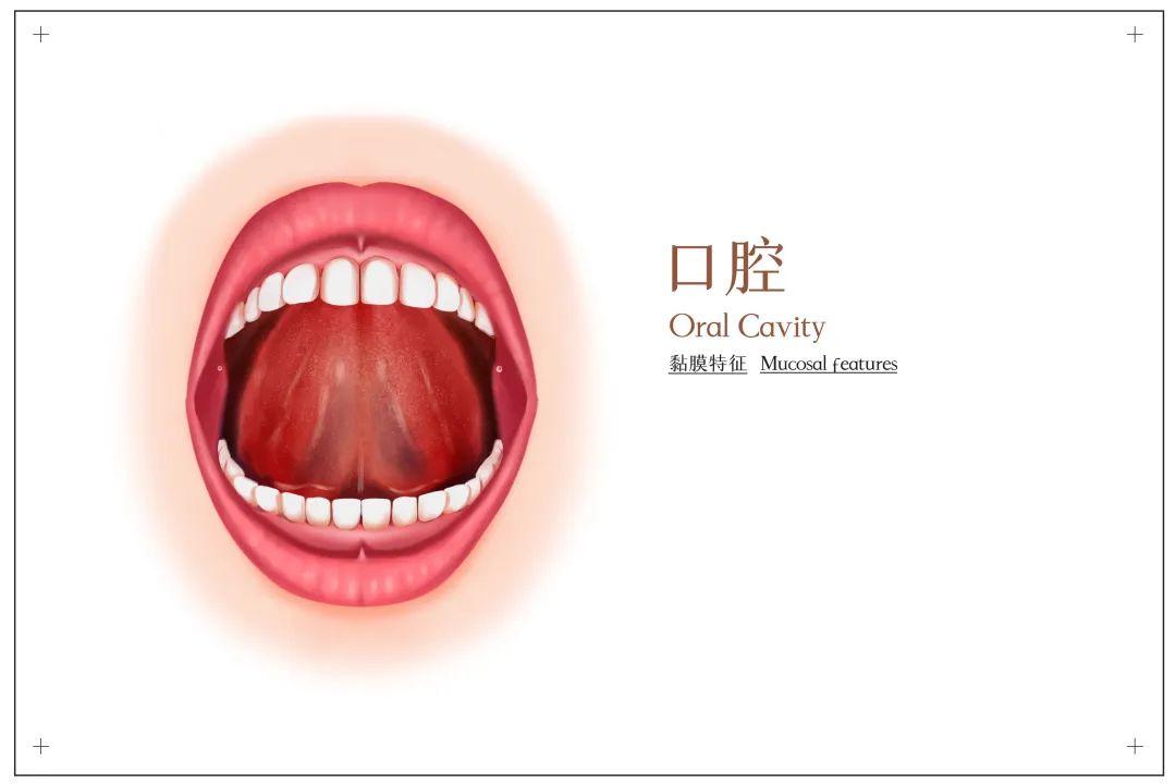 健不健康看舌头就知道?舌头出现这7种现象,可能是身体发出疾病预警 - 知乎