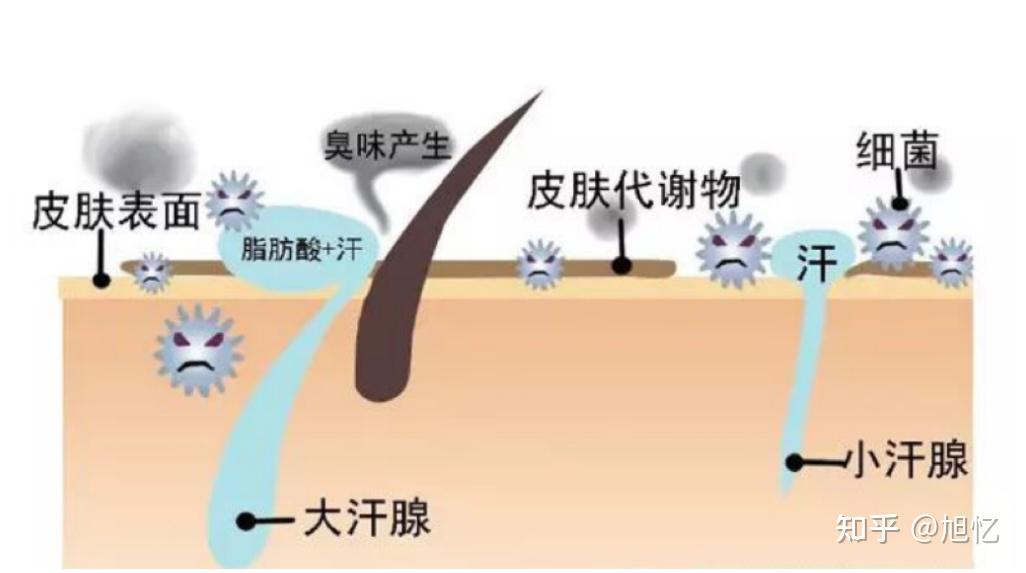 狐臭喷剂是不是智商税
