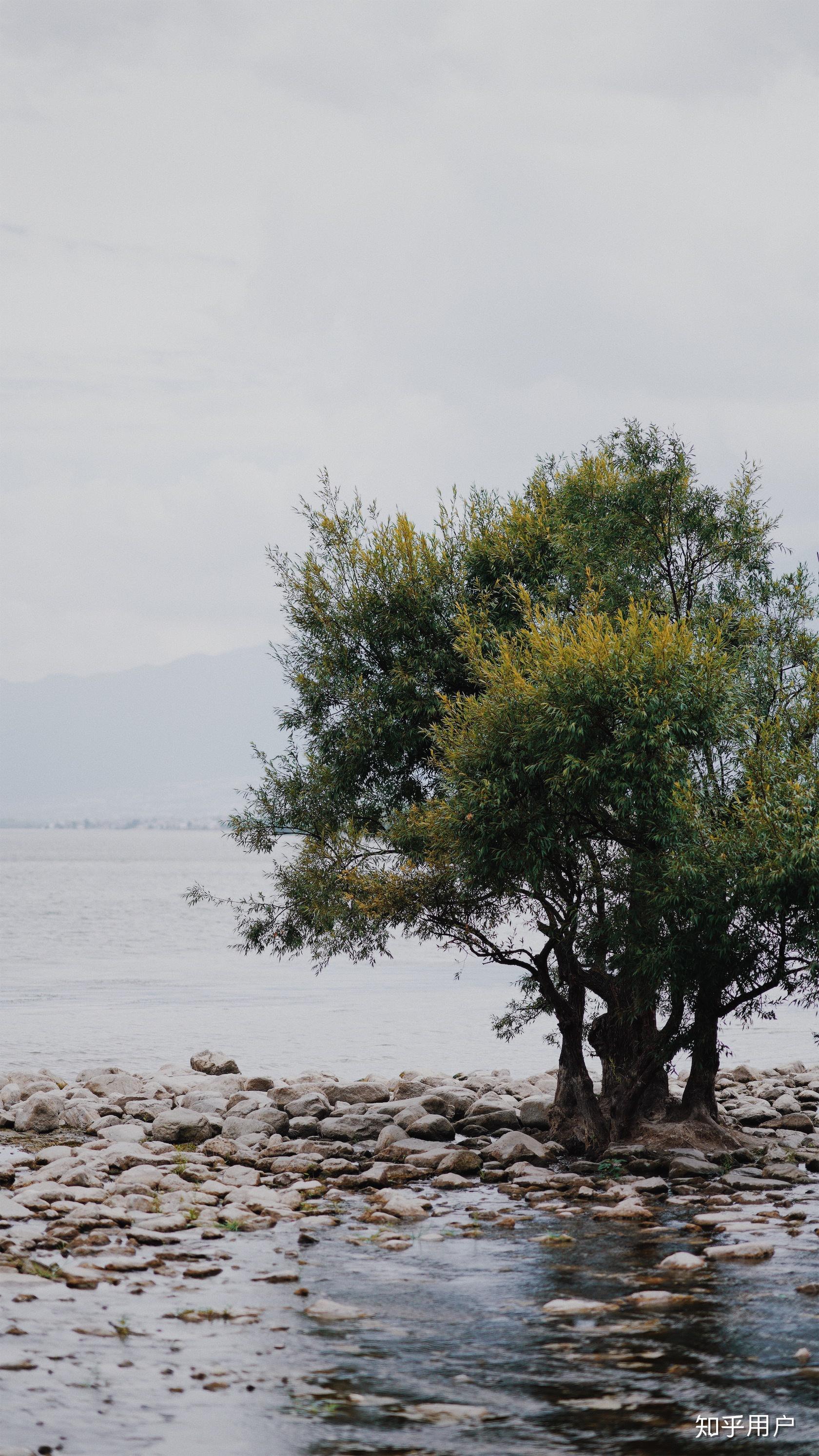 在你的摄影生涯里用85mm定焦镜头拍出过哪些满意的作品
