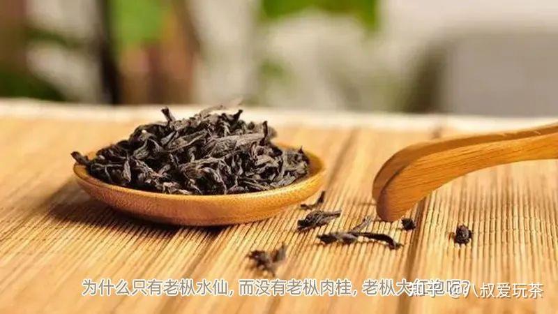 为什么只有老枞水仙，而没有老枞肉桂，老枞大红袍呢？ - 知乎