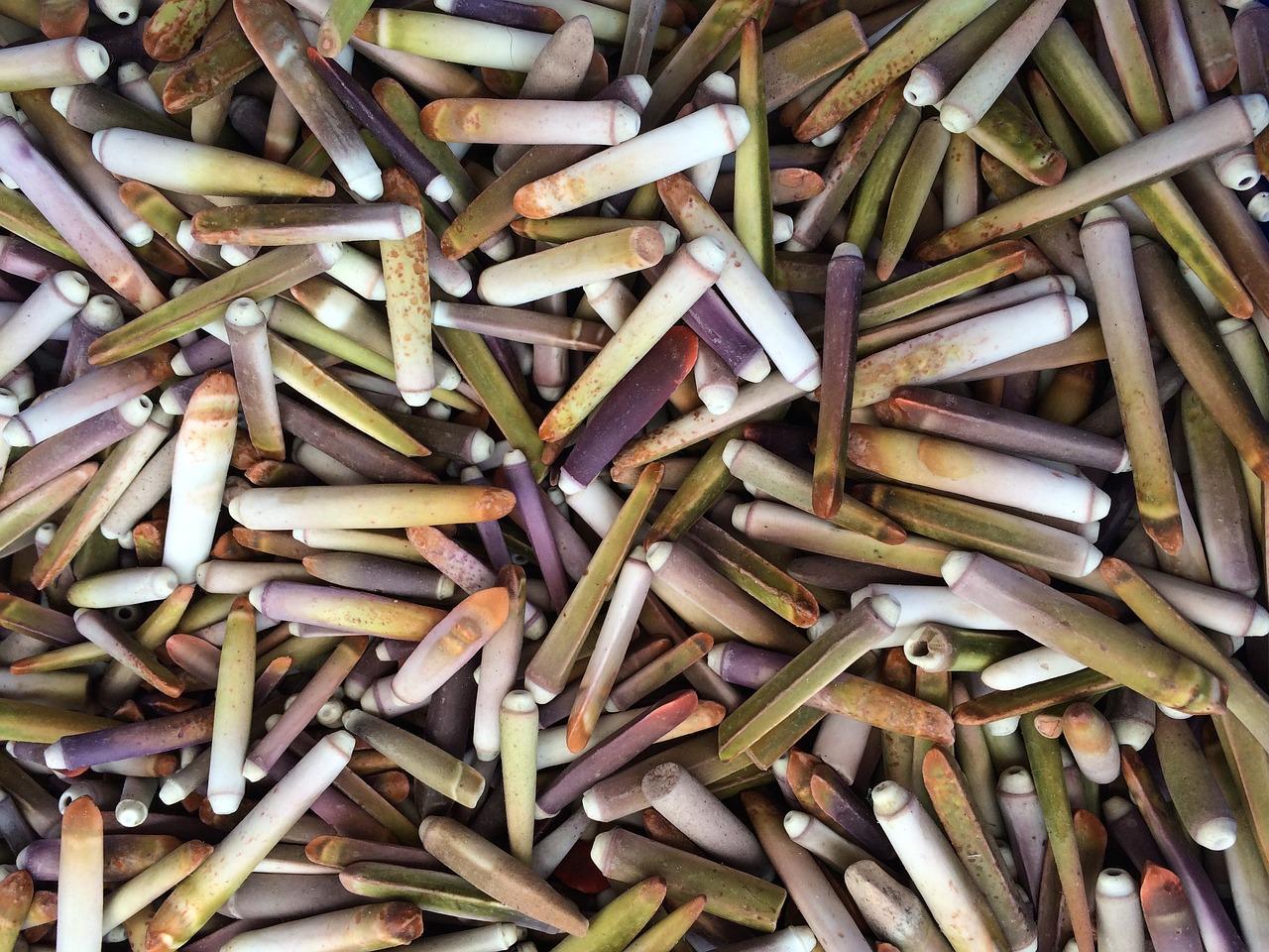 海虹佳苑怎么样