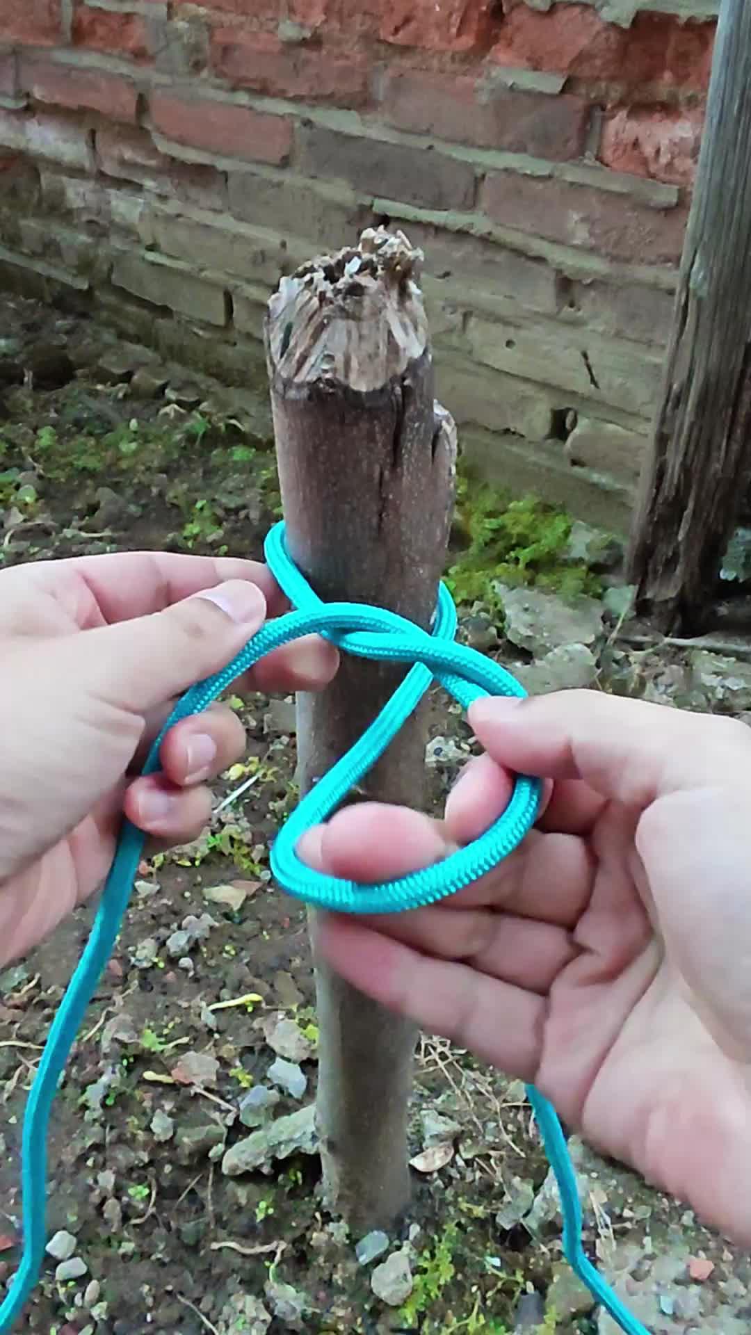 农村常用到的猪蹄捆绑绳结,一看就会