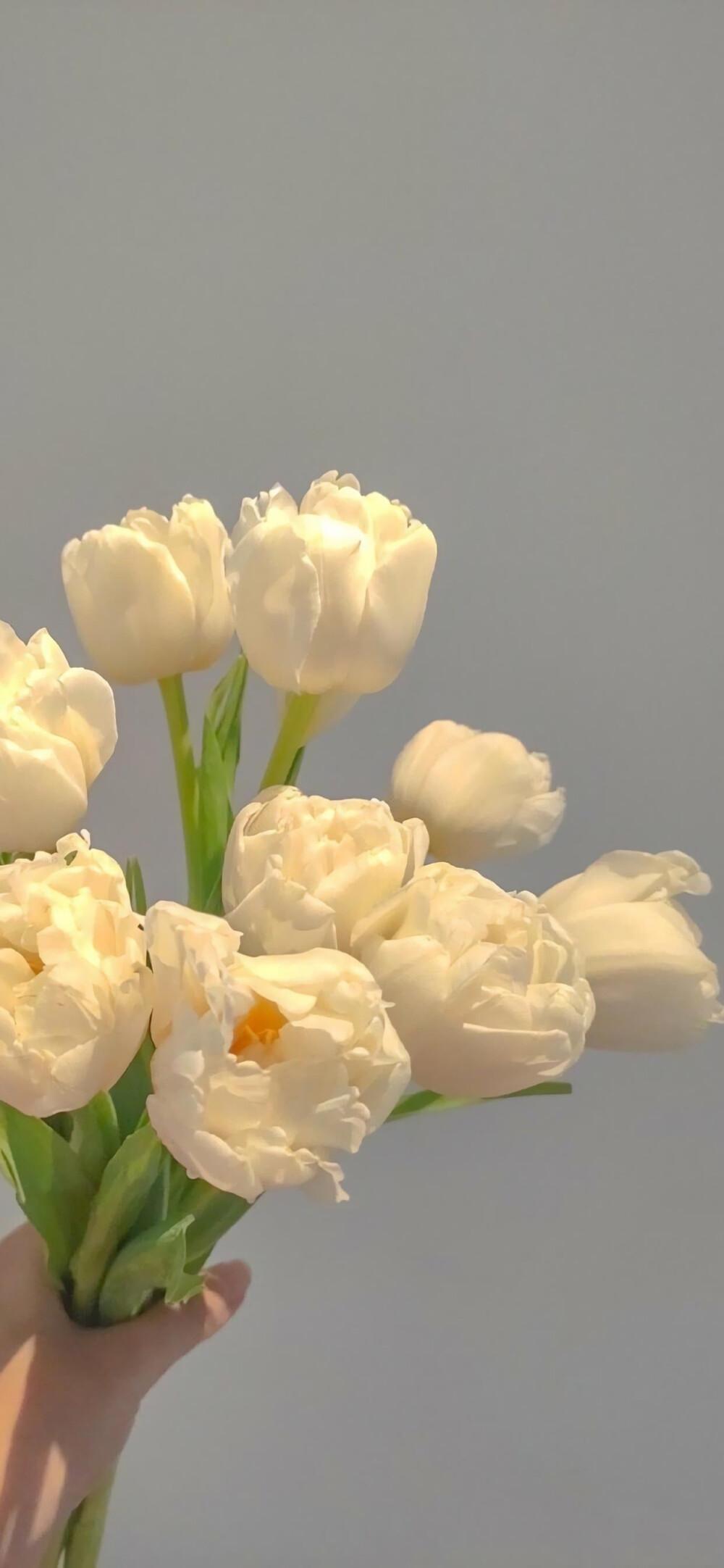 有没有超好看手机壁纸,压箱底的那种?