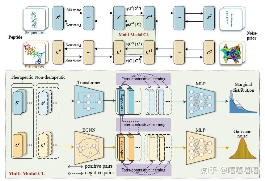 Mmcd Method 论文题目:A Multi-Modal Contrastive Diffusion Model for Therapeutic Peptide ...