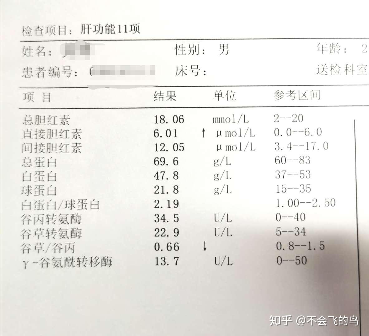总胆红素和间接胆红素偏高