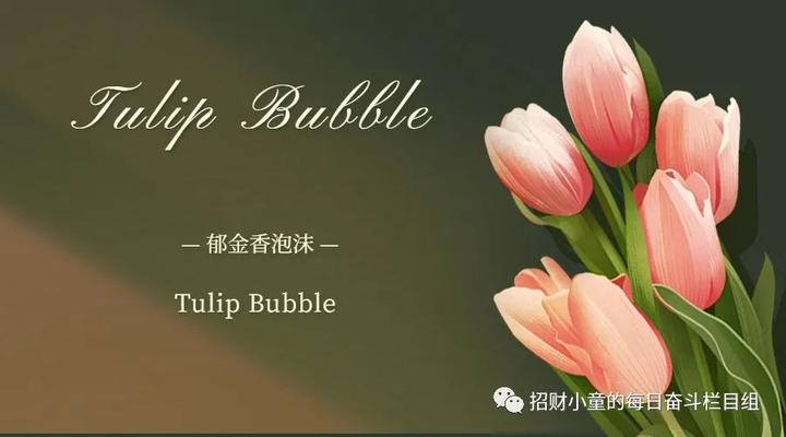 一朵独一无二的花带走了荷兰的财富郁金香泡沫