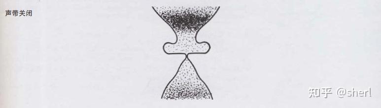 唱歌的基本原则(来自《Singing For The Stars》Seth Riggs)(小白必看) - 知乎