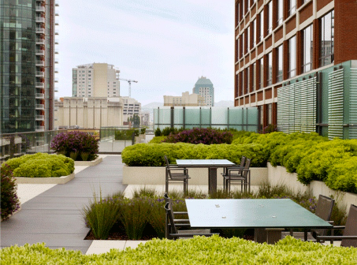 海绵城市中绿色屋顶的构建