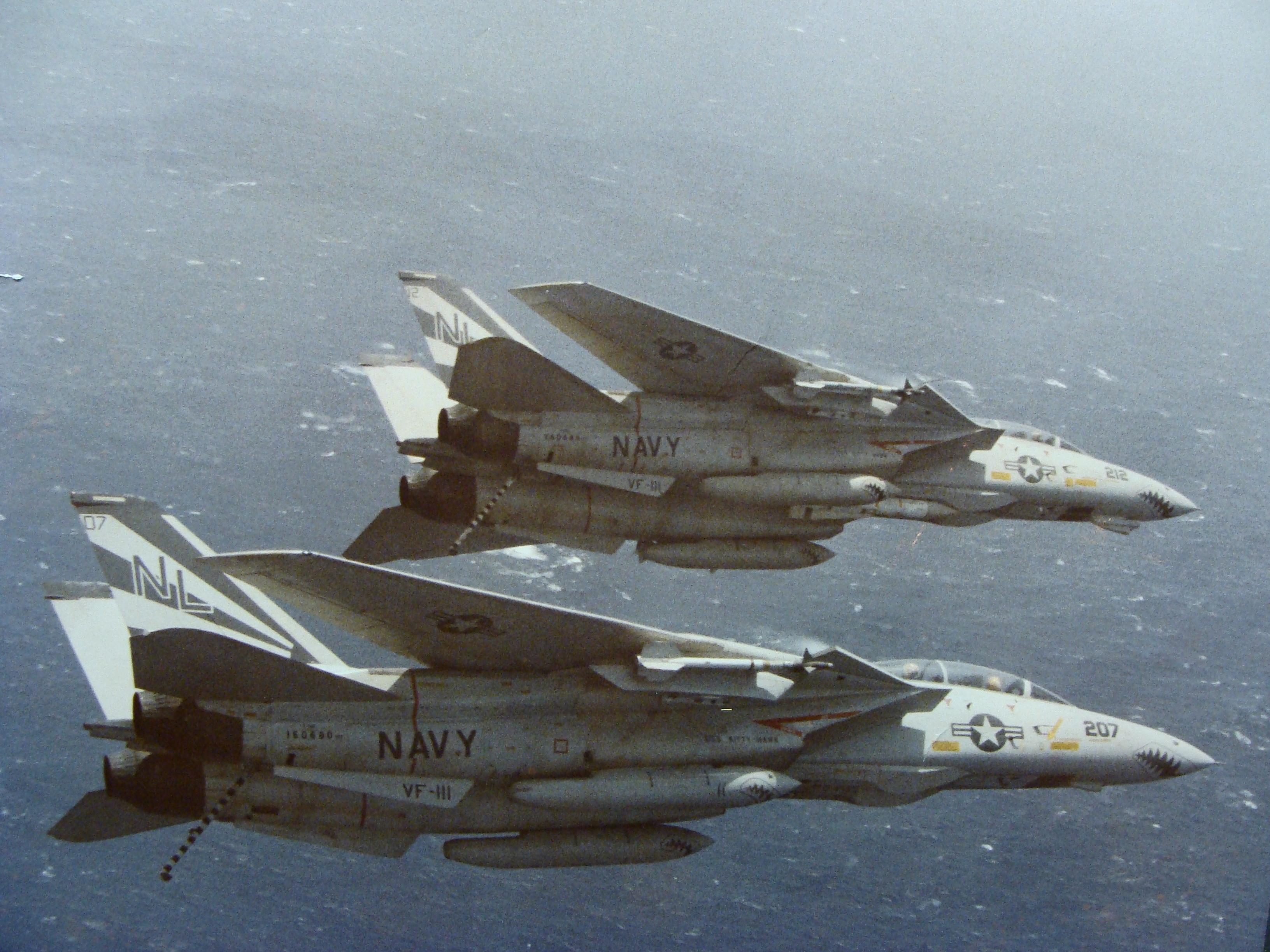 为什么f14大雄猫粉丝那么多