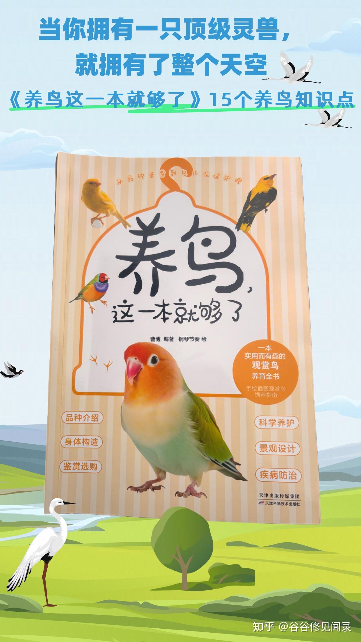 《养鸟这一本就够了》:打造属于你的天空,养鸟的15个知识点 - 知乎