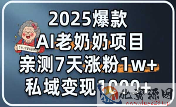 AI老奶奶项目_wwz