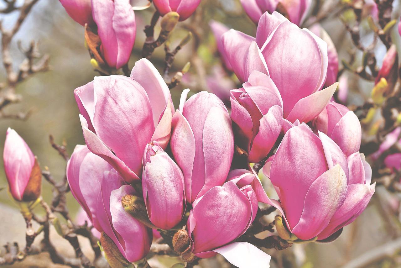 4. 配套设施齐全度