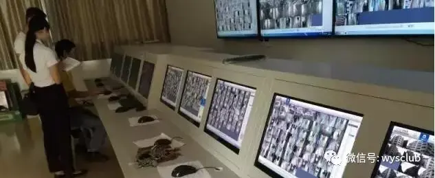 阱禾倔添探管嘴普榜