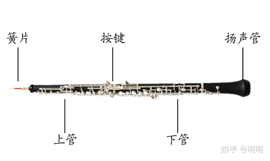 管乐器的主要发声原理是什么? - 知乎