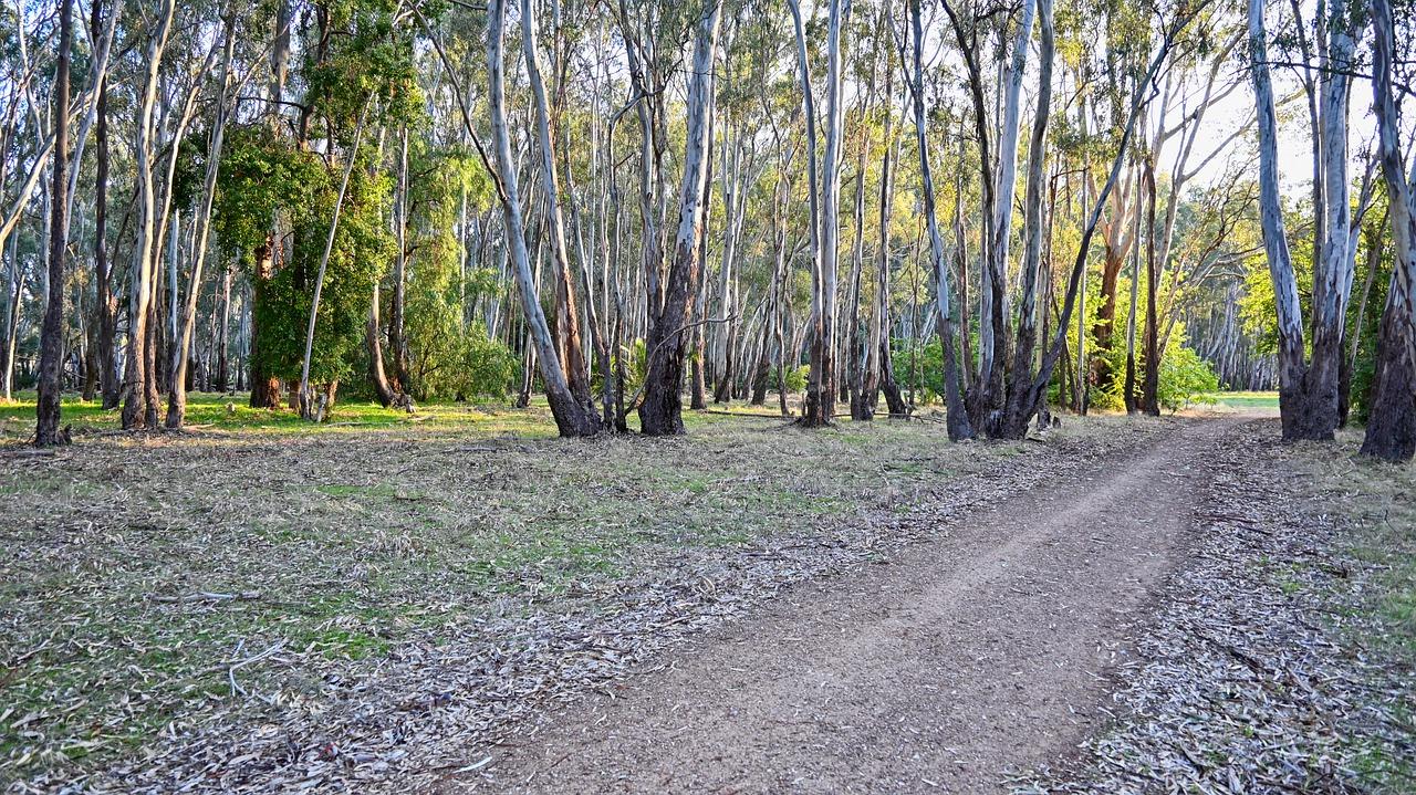 学位房投资指南