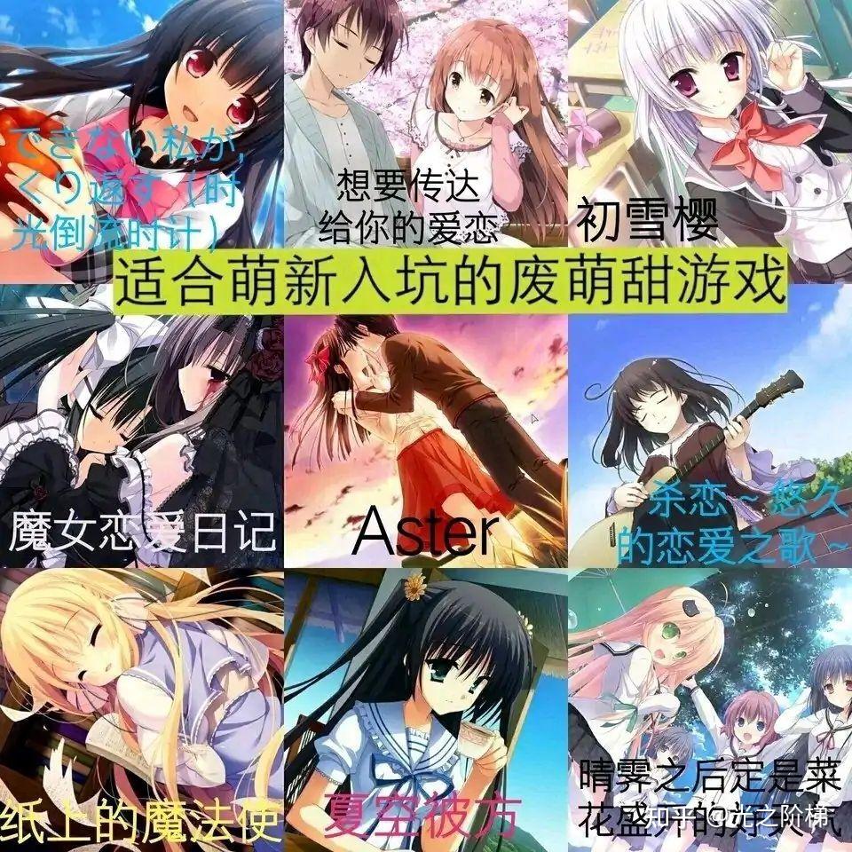 有没有适合萌新入坑的galgame推荐? - 知乎