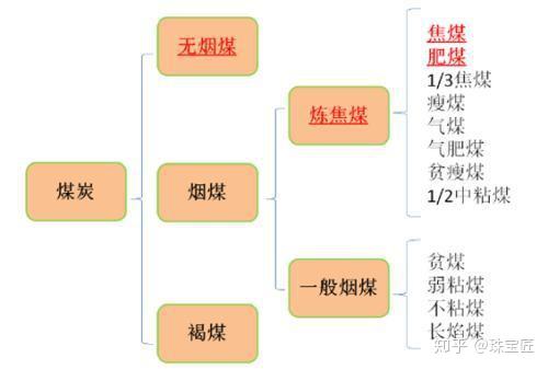 煤精是什么，其形成过程是怎样的？ - 知乎