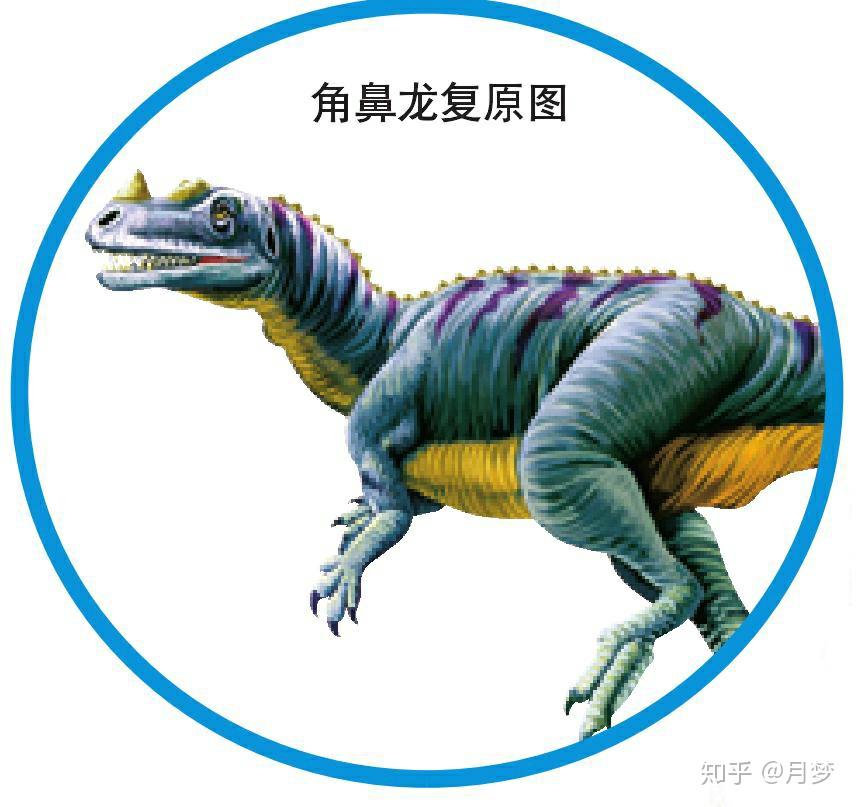 听说头上长角的动物都是吃草的吃肉的都是头上不长角的大家能不能找出