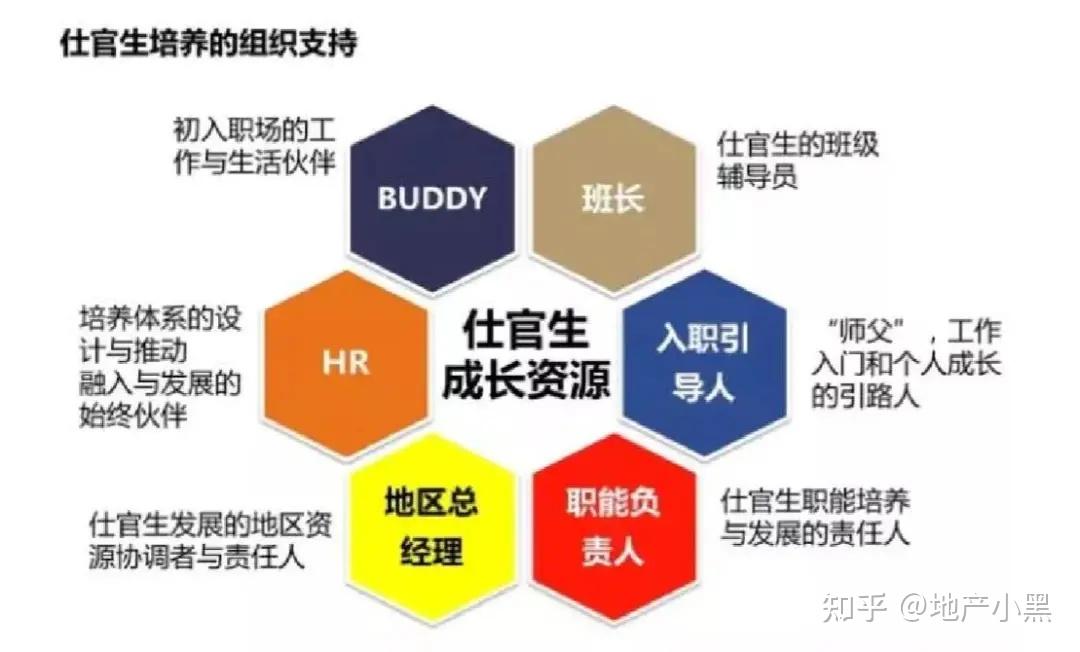 行业解读 | 扒一扒“真假”管培生体系 - 知乎