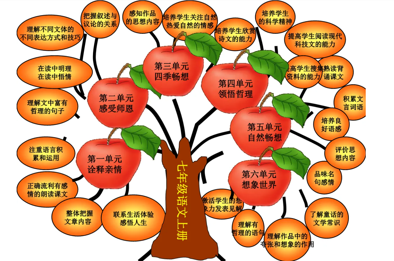 知识体系树状图图片