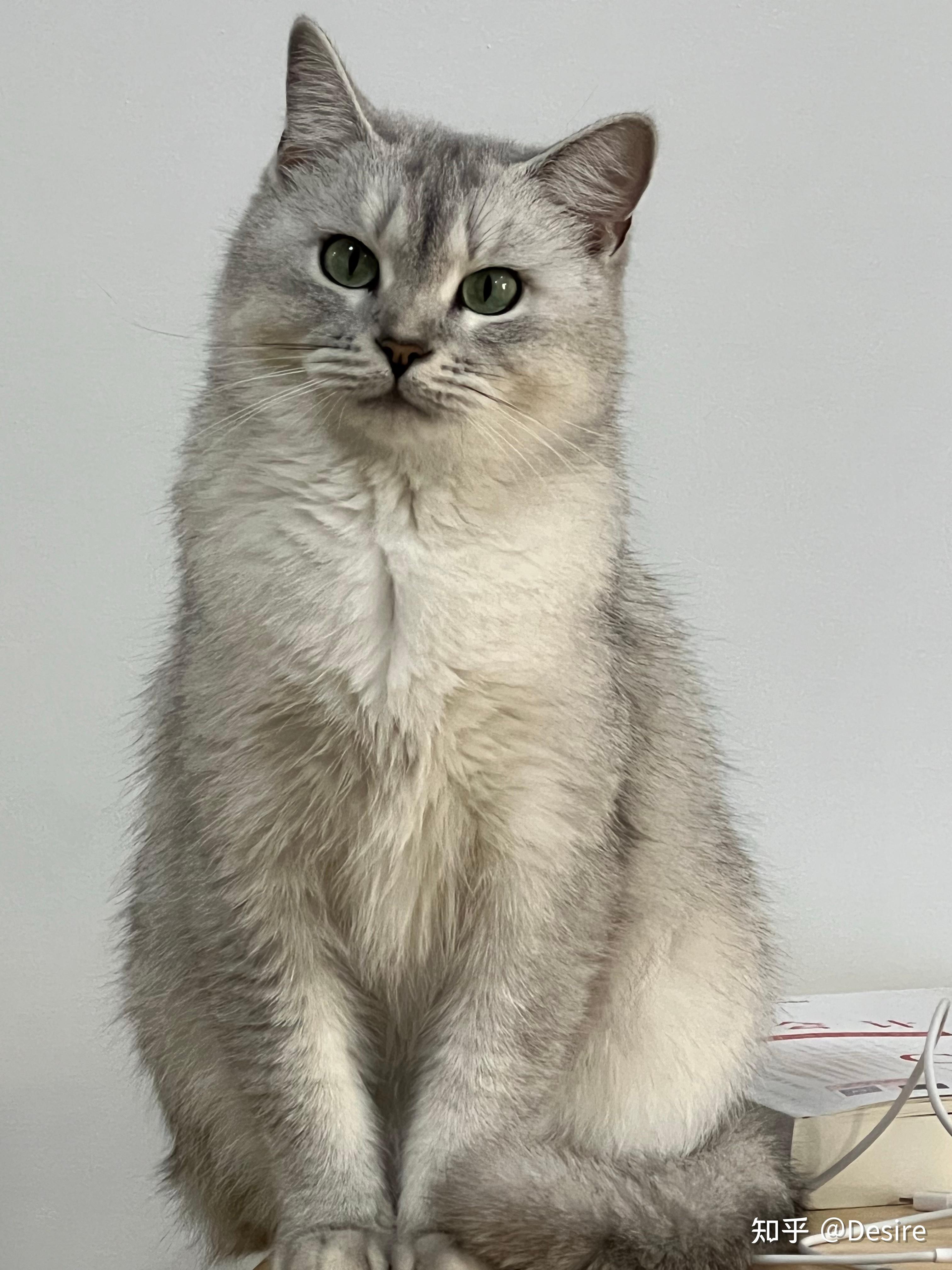 3024_4032竖版 竖屏