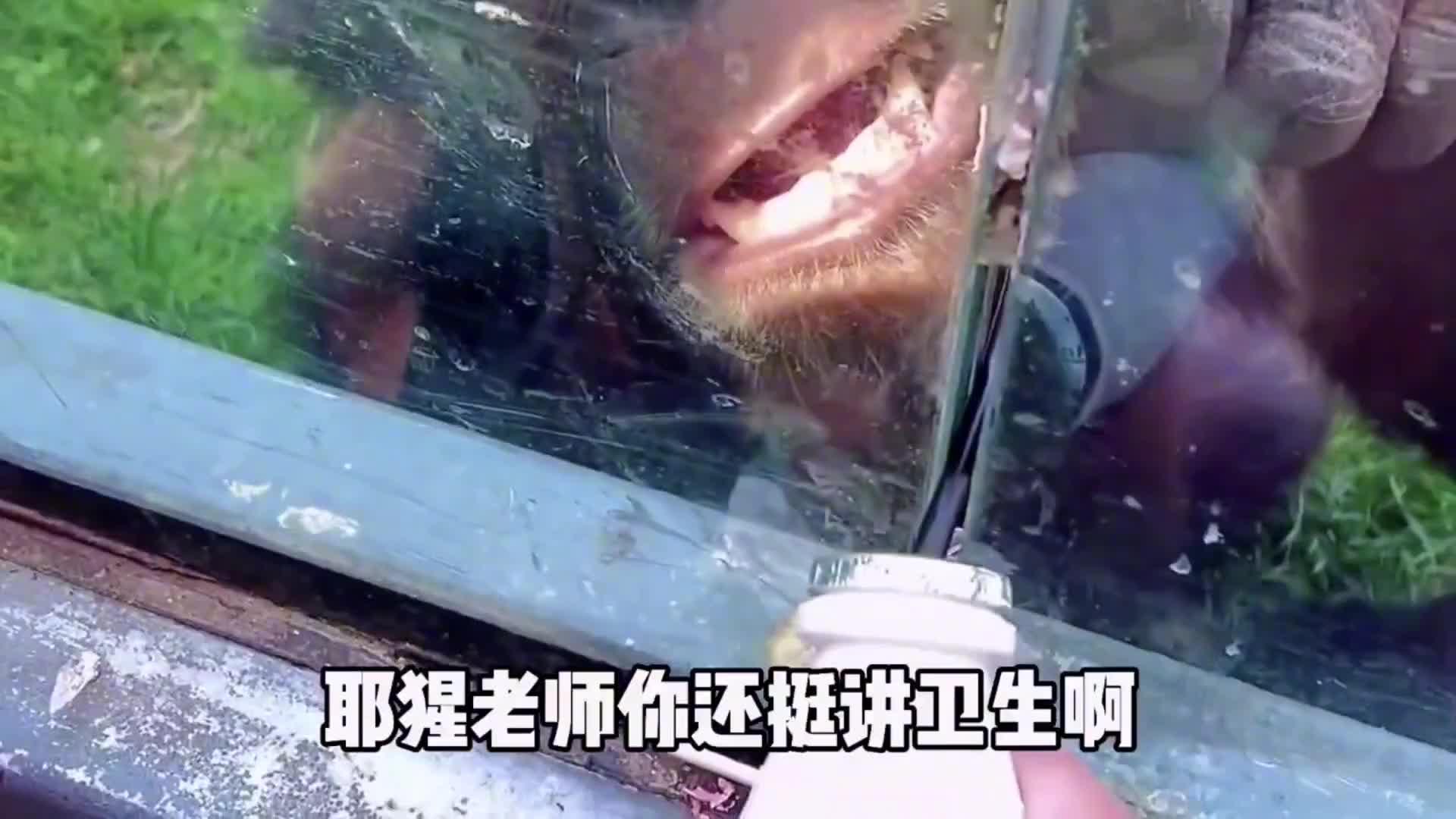 爆笑四川方言配音,哪位大神配的音,太有才了,笑得肚子疼
