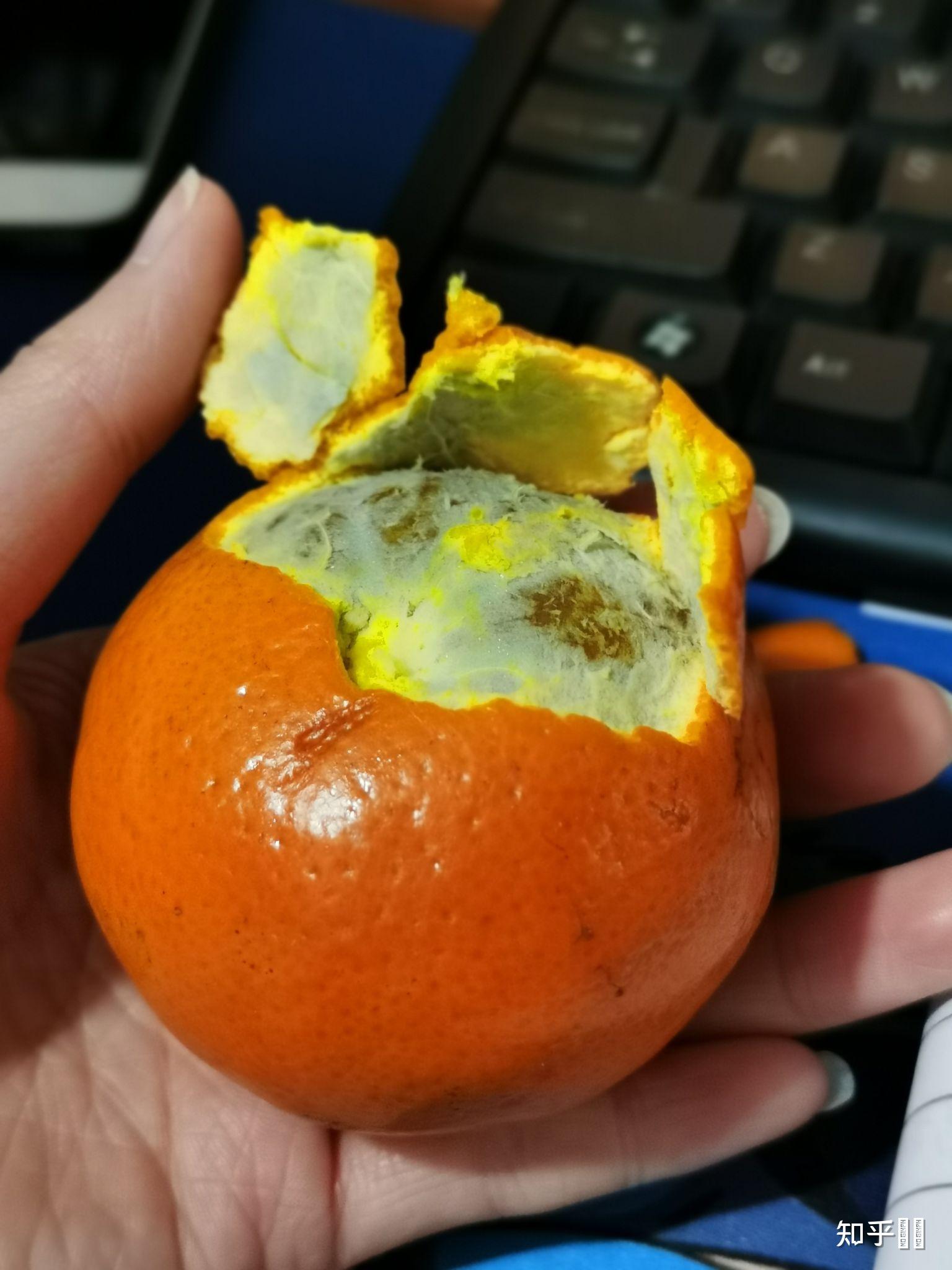 沃柑剥皮后皮内侧发蓝是怎么回事