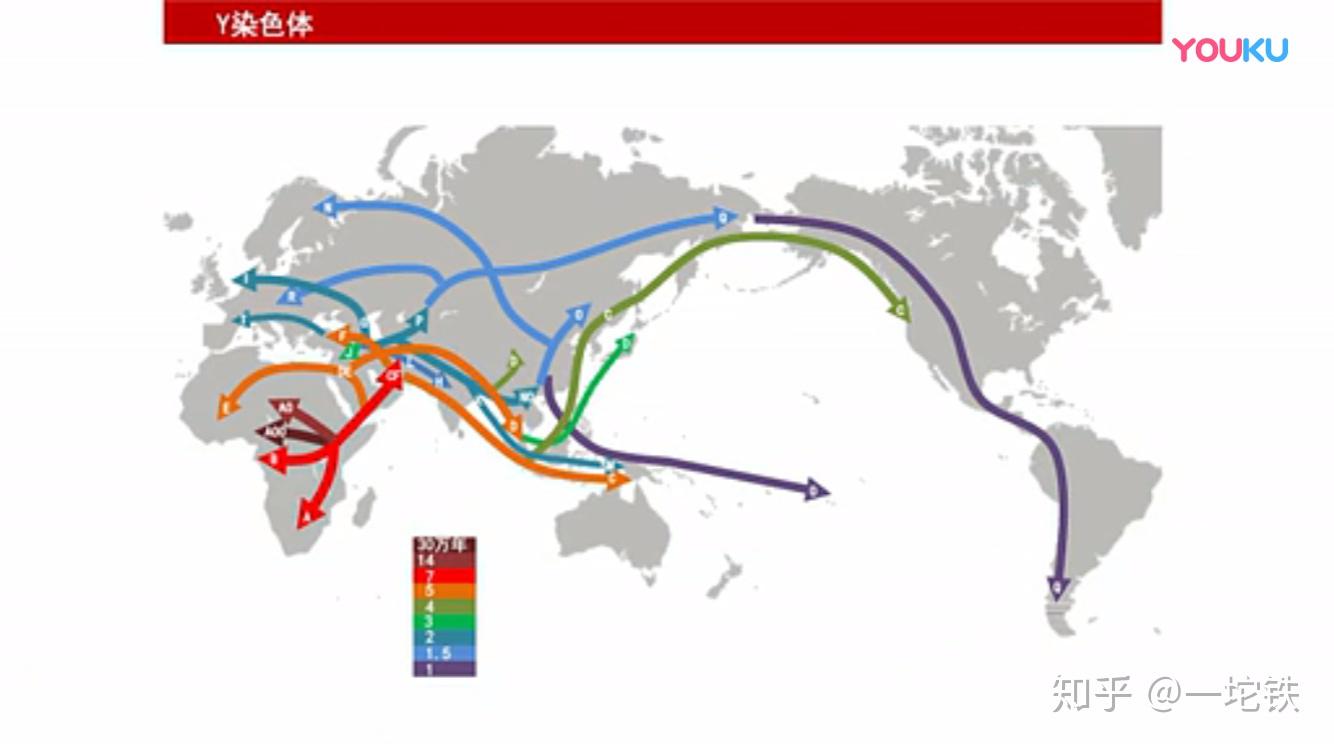 智人是如何走出非洲迁移到各大洲各大文明发源地的