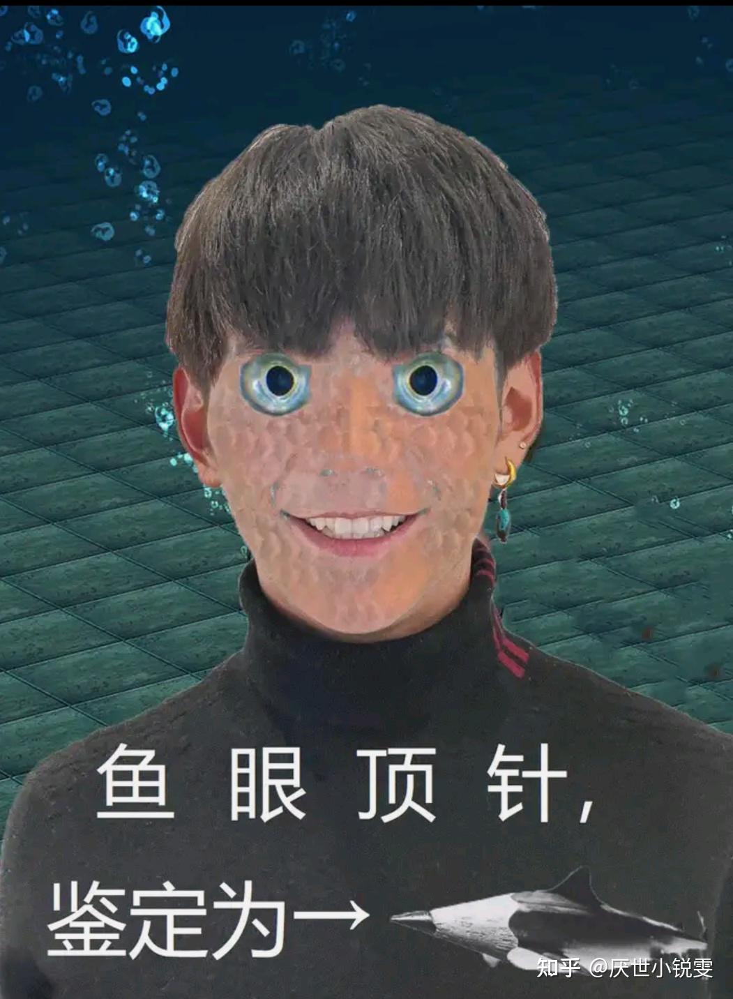 如何评价孙笑川吧等贴吧吧友制作的一眼丁真系列表情包