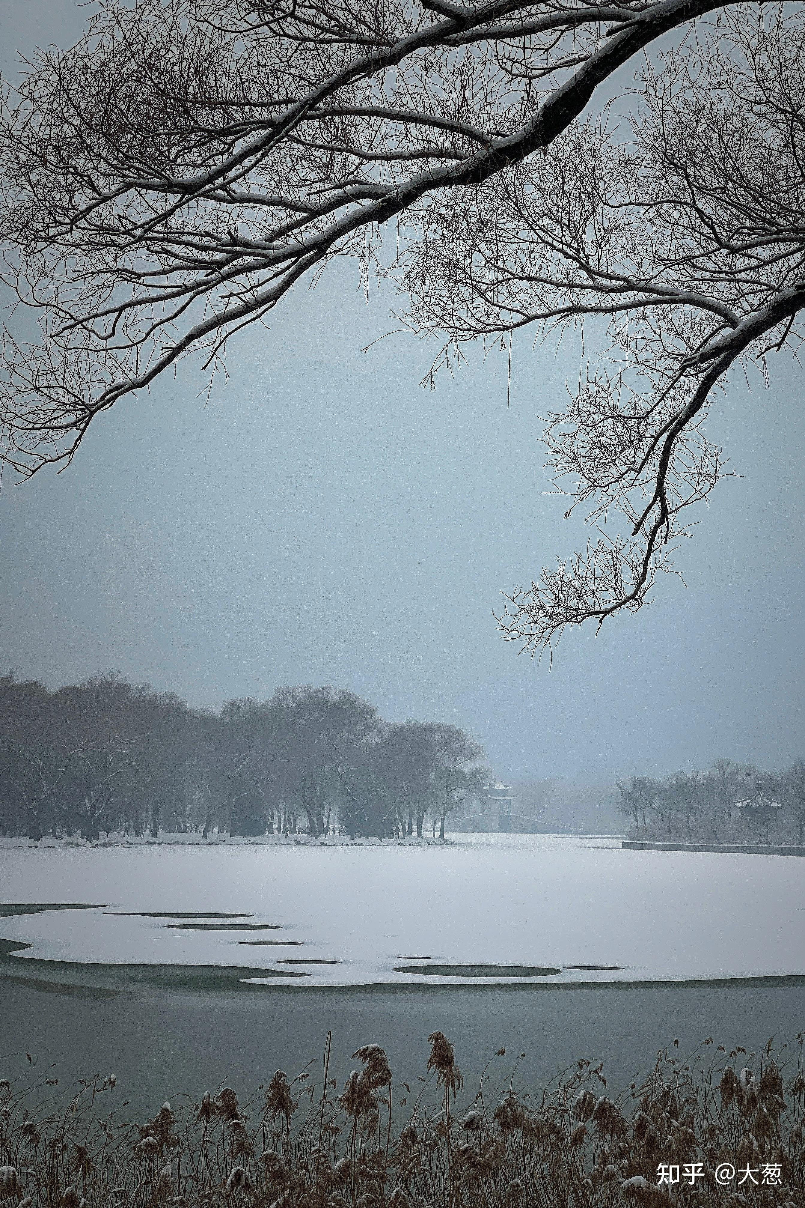 雪景真美图片