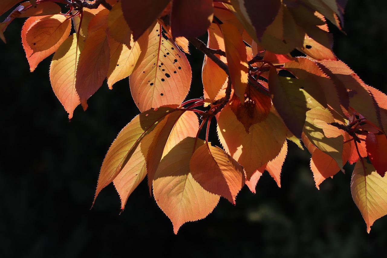 3. 便捷交通配套