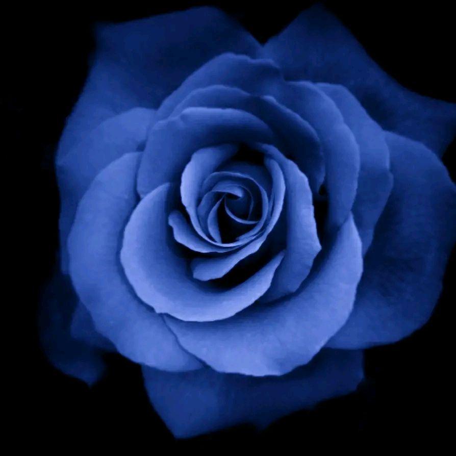 有什么图片适合小米的自定义息屏显示?