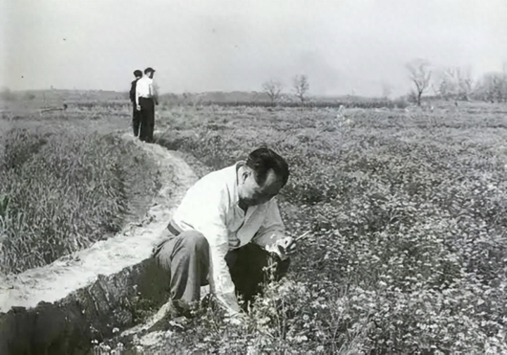 毛主席视察期间下田拔草照片,与田陇上站着的两个人形成鲜明对比 - 知乎