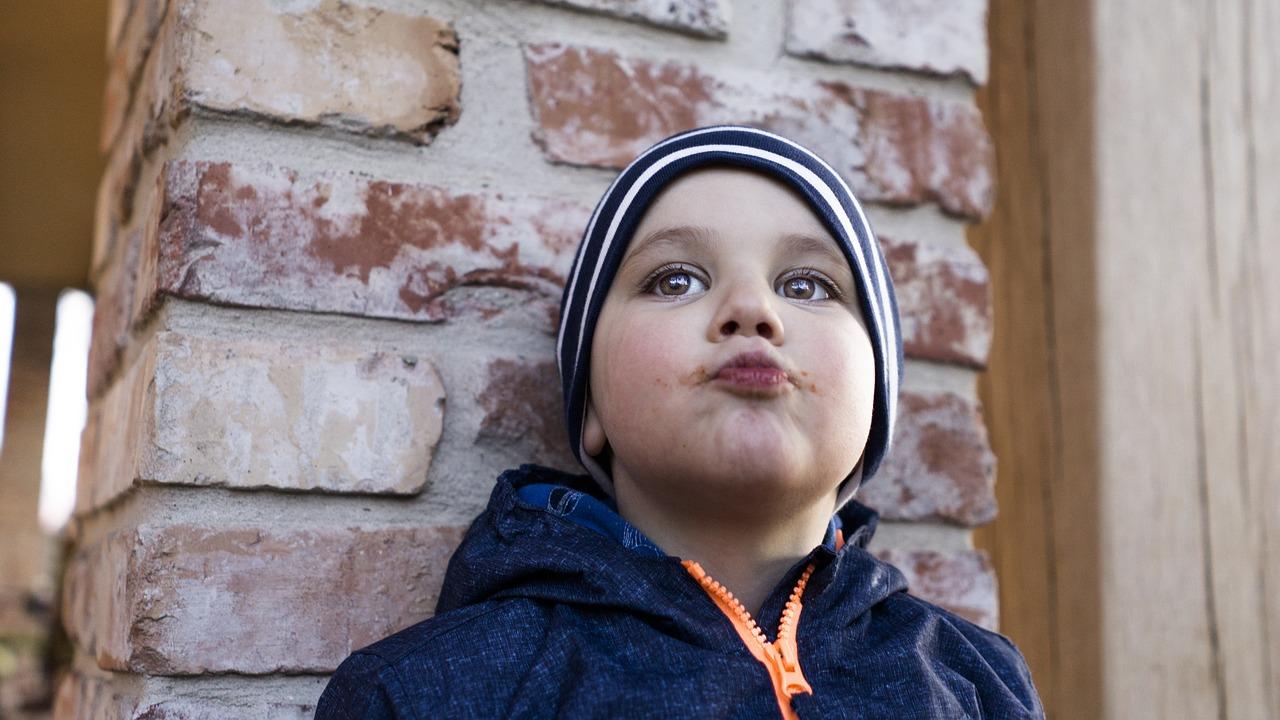 验房心得怎么写