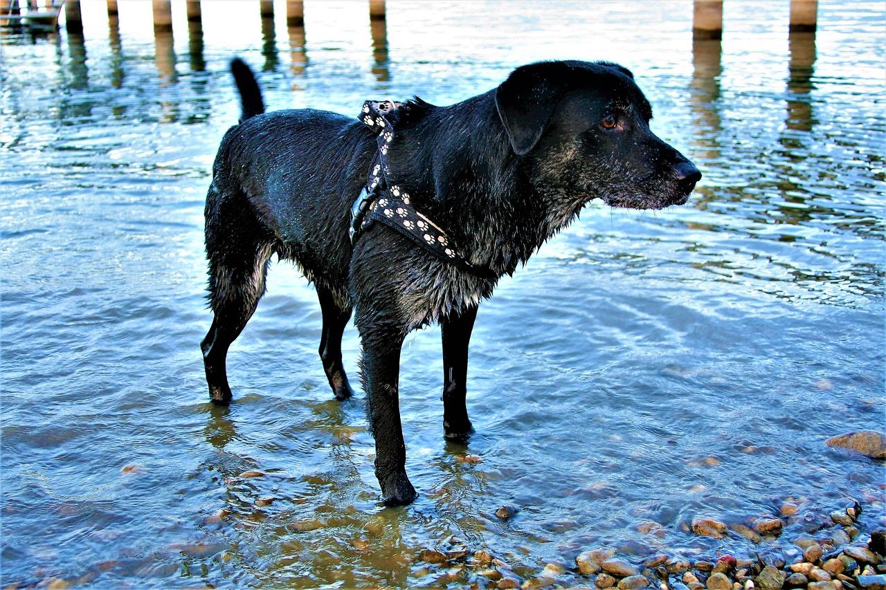 2. 房产清洁指南