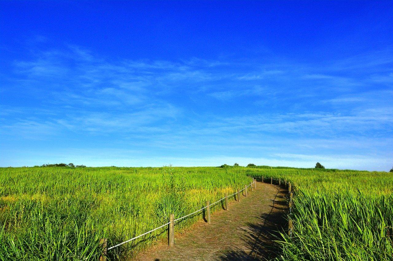 星星南校怎么样