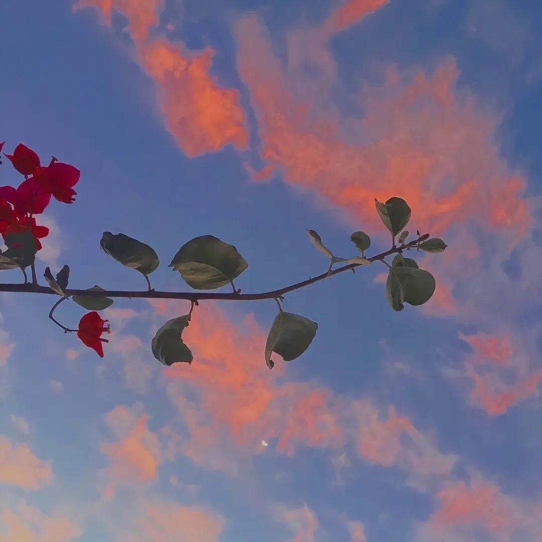 有什么看着很舒服的微信背景图