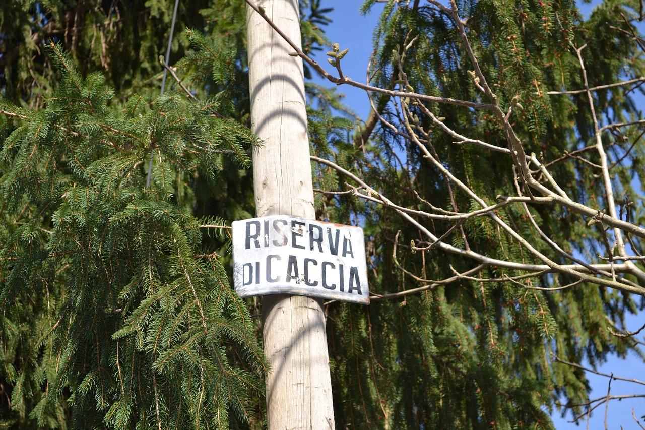 4. 班级分组教学