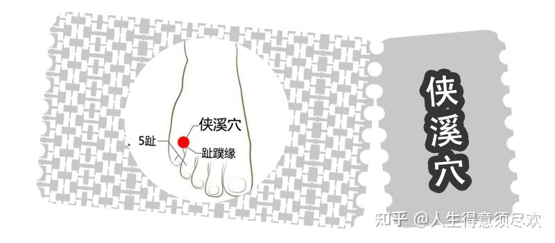【中医穴位百科 361 讲】第 025 讲:侠溪穴 | 精准定位 + 安全手法 + 日常养护指南 - 知乎