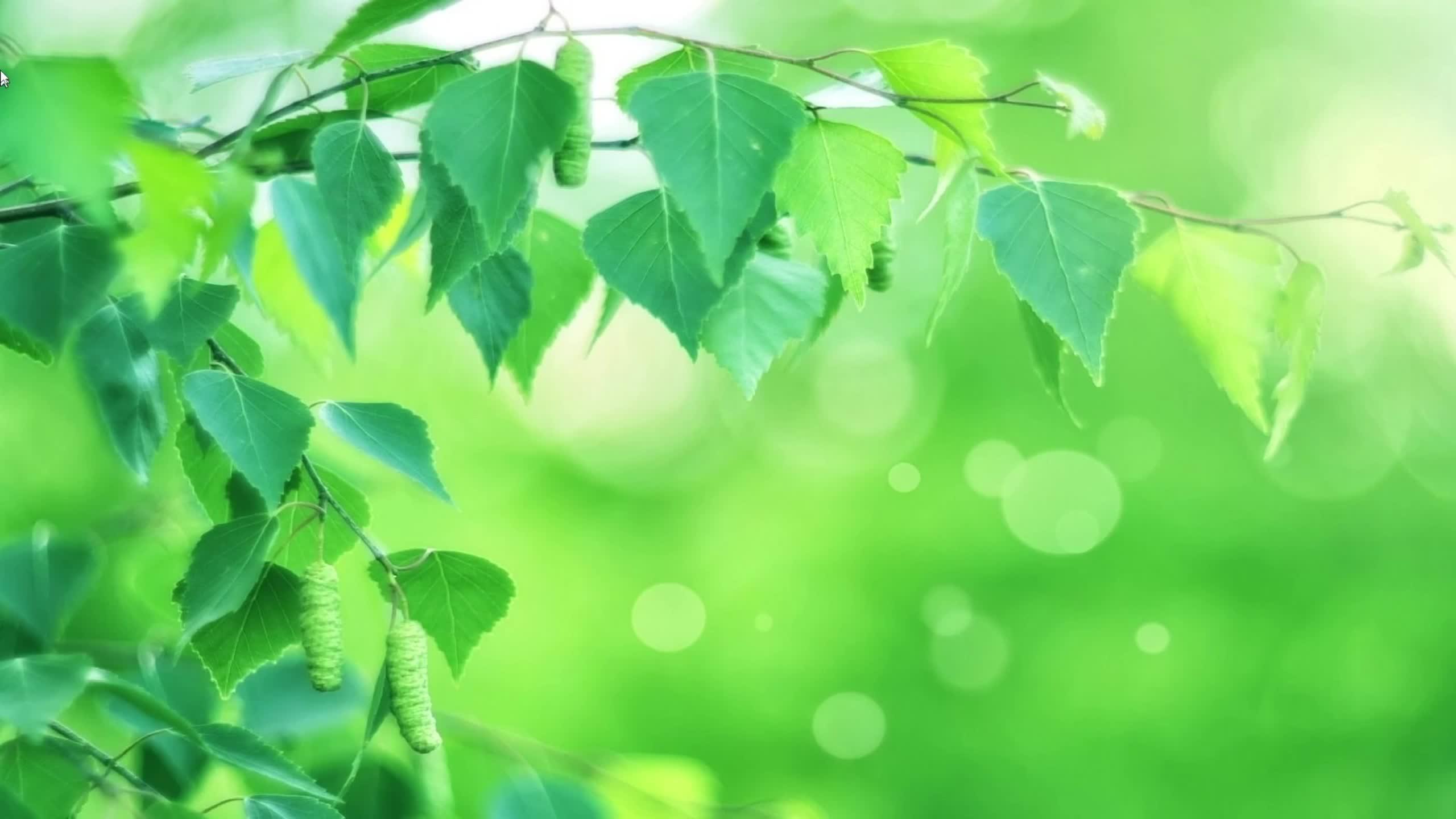 win10桌面美化? - 知乎