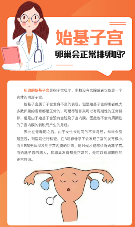 始基子宫的卵巢会正常排卵吗？ 知乎