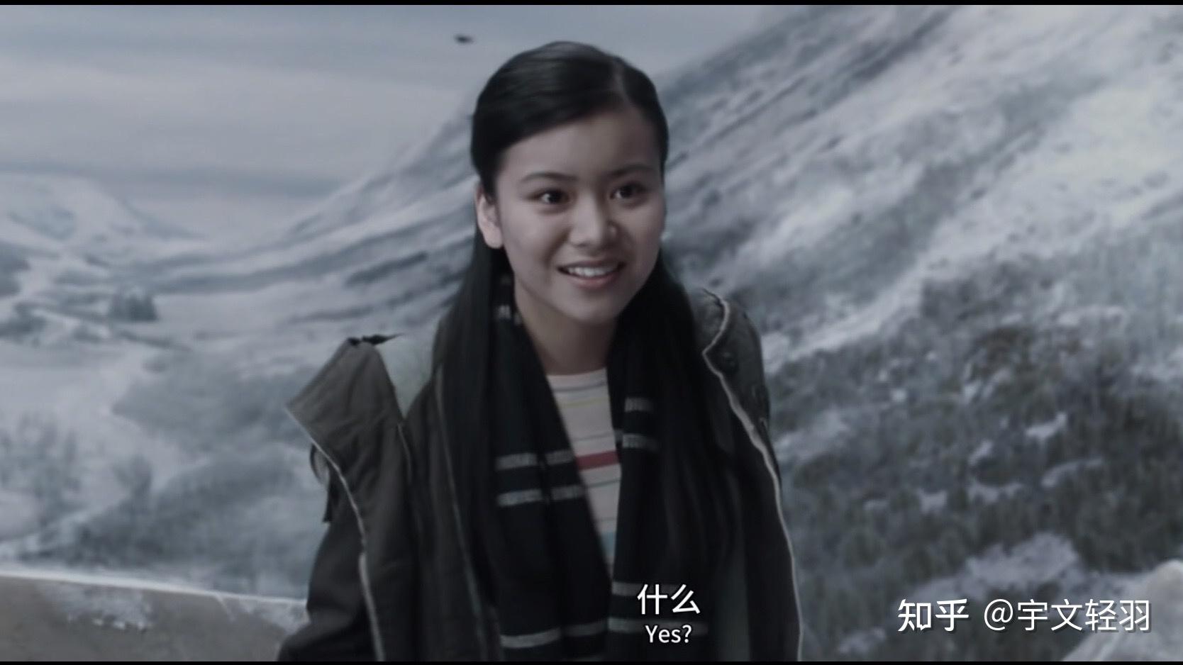 如何评价哈利波特里的秋张