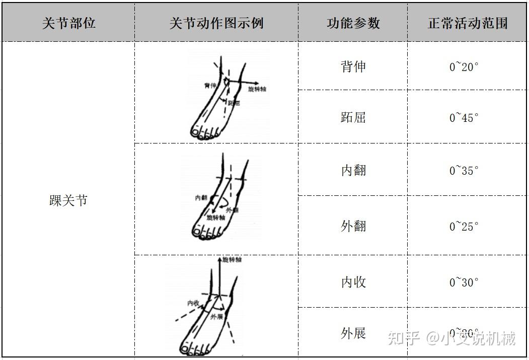 各关节活动度范围图片