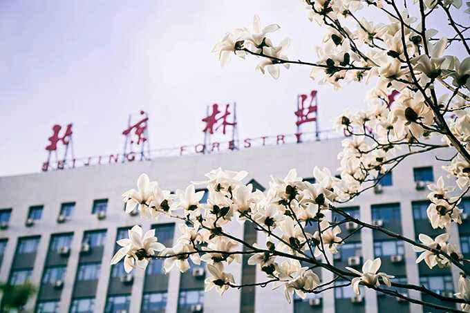 【北林考研】2023年考研自命题科目考试大纲 知乎