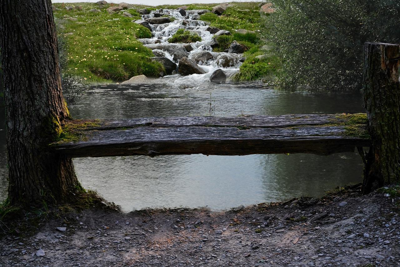 地板什么树木好