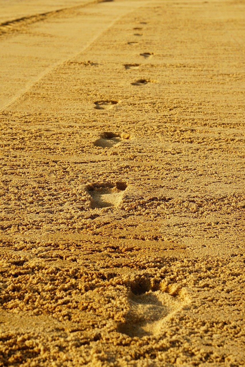 3. 地毯保养技巧