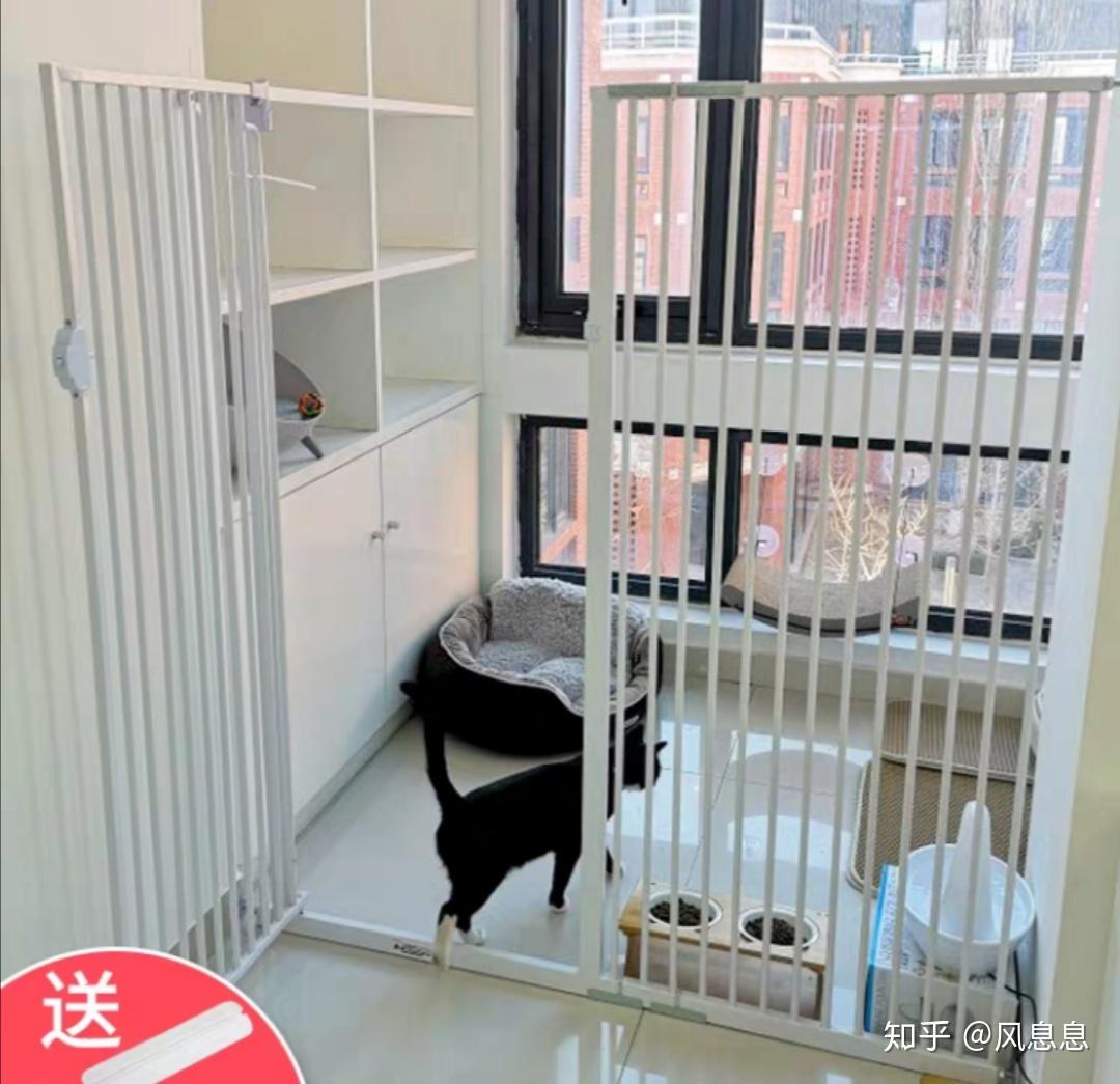 有什么美观实用的猫笼推荐? - 知乎